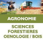 Etudes et métiers : agronomie, sciences forestières