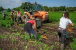 Livret des emplois saisonniers agricoles en Loire-Atlantique et en Vendée