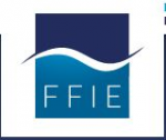 Fédération française des entreprises de génie électrique et énergétique (FFIE)
