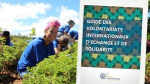 Guide des volontariats internationaux d'échange et de solidarité