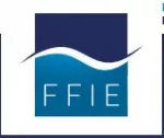 Fédération française des entreprises de génie électrique et énergétique (FFIE)